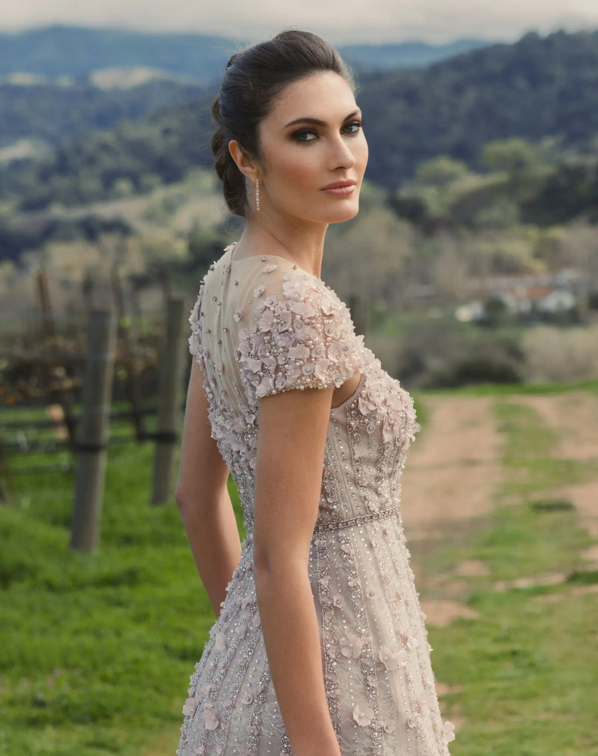 Embellished Lace Illusion Neck A-Line Gown - Pink