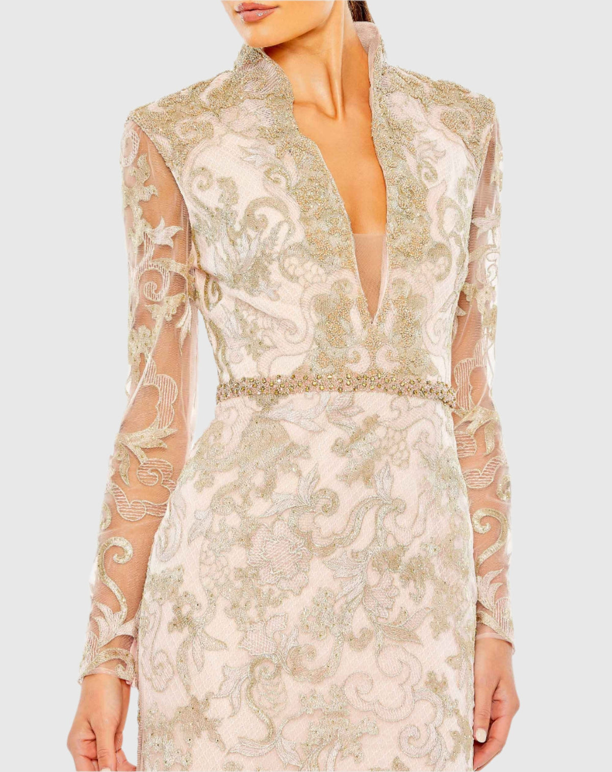 Long Sleeve Applique V-Neck Gown - Blush