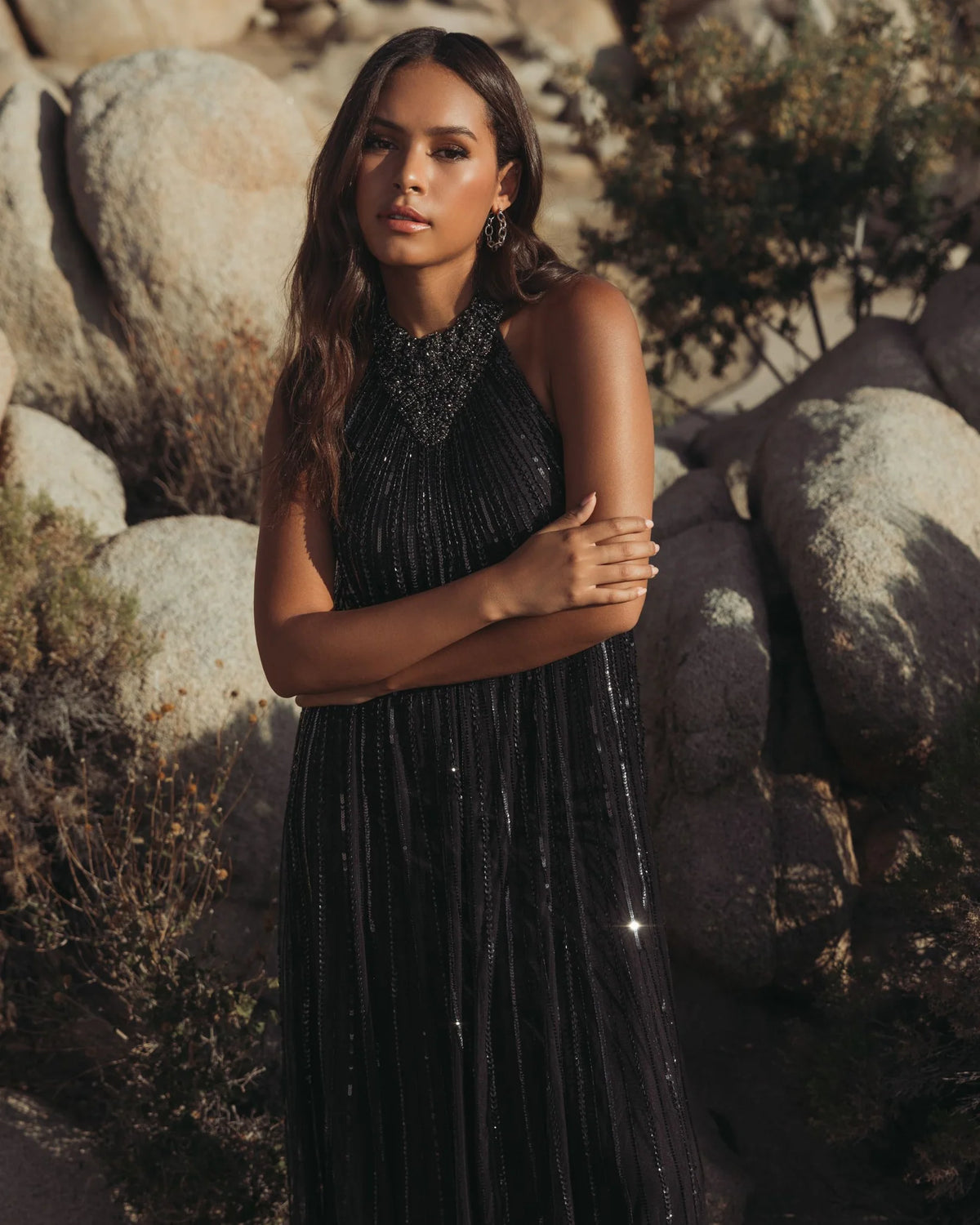 Black sleeveless halter neck embellished trapeze gown