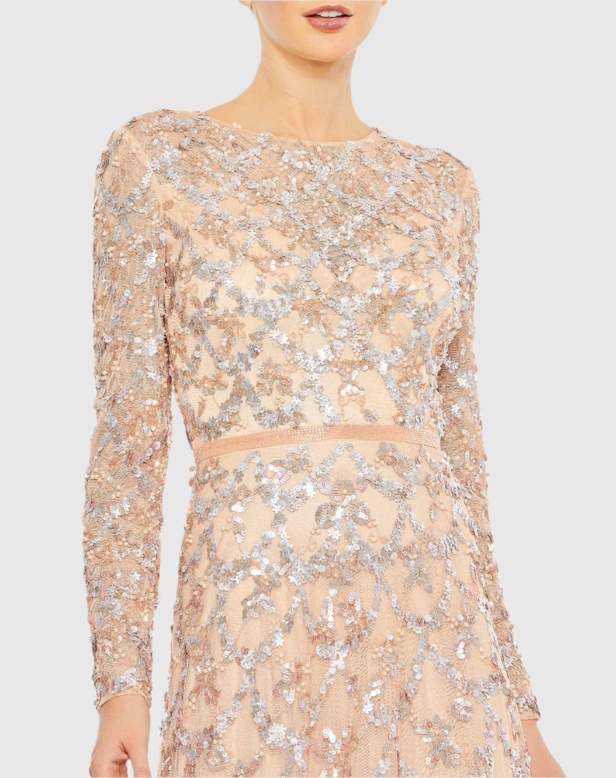 Embellished illusion high neck long sleeve A-line modest gown - Blush