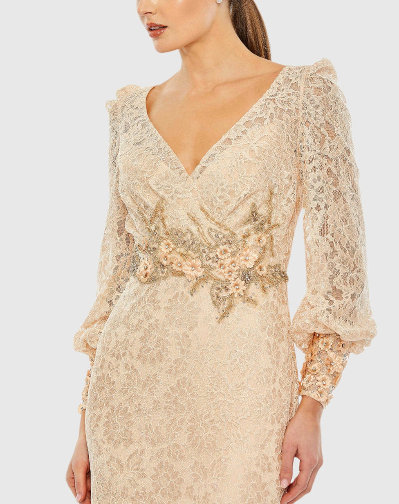 Lace Long Sleeve V Neck Embellished Gown - Blush