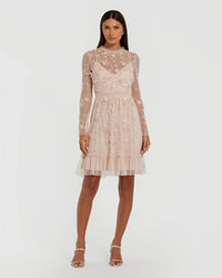 Blush Embellished Mesh Long Sleeve High Neck Mini Dress