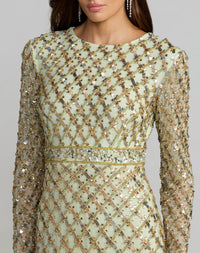 Long Sleeve High Neck Embellished Gown