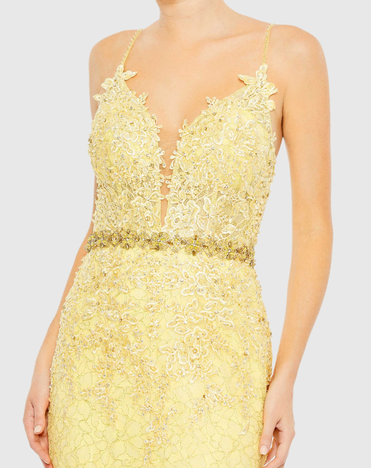 Applique Sleeveless Plunge Neck Trumpet Gown - Lemom