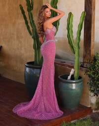 Princess Sparkle Bustier Gown - Candy Pink