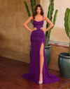 Chic & Holland Prom & Debs Dresses Bodice Mermaid Train Gown - Midnight Purple- AR330459B 