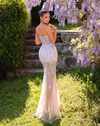 Sleeveless Bustier Sheer Gown - Baby Pink