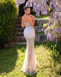 Sleeveless Bustier Sheer Gown - Baby Pink