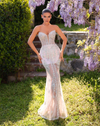 Chic & Holland Dresses Sleeveless Bustier Sheer Gown - Baby Pink #AZ50B